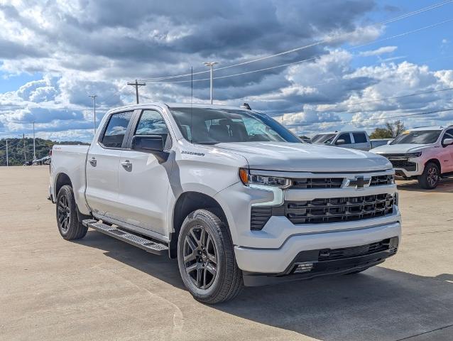 2024 Chevrolet Silverado 1500 Vehicle Photo in POMEROY, OH 45769-1023