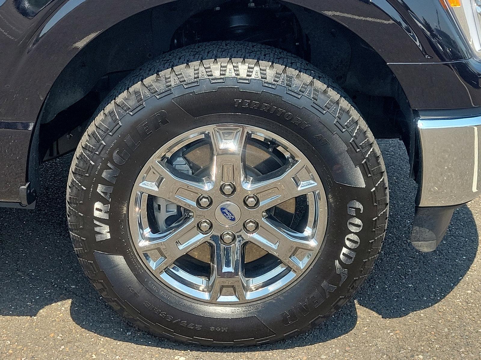 2023 Ford F-150 Vehicle Photo in Trevose, PA 19053