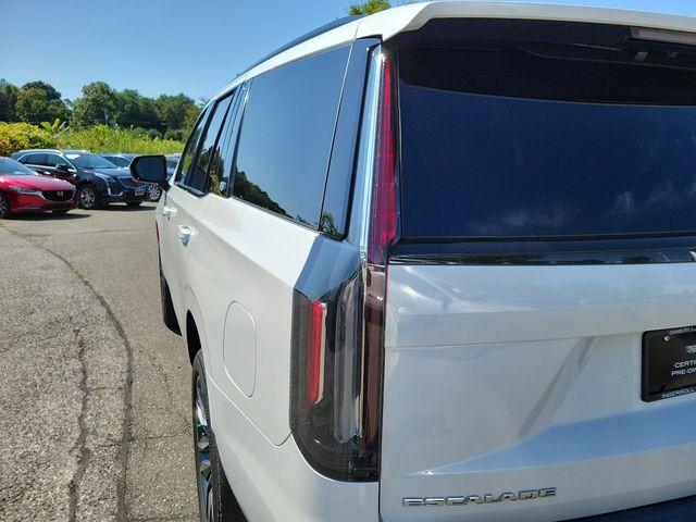 2021 Cadillac Escalade Vehicle Photo in DANBURY, CT 06810-5034