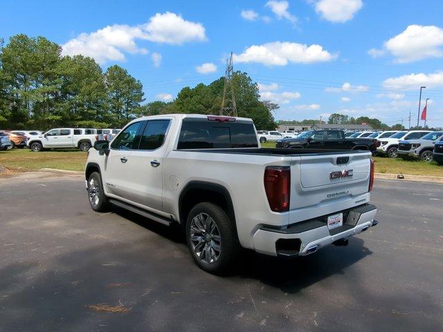 2025 GMC Sierra 1500 Vehicle Photo in ALBERTVILLE, AL 35950-0246