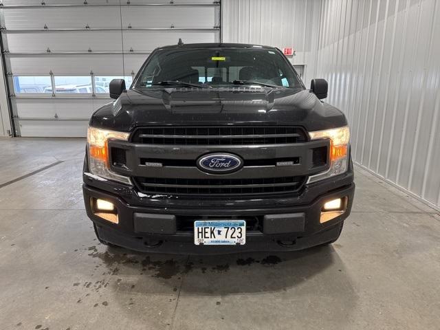 2019 Ford F-150 Vehicle Photo in GLENWOOD, MN 56334-1123