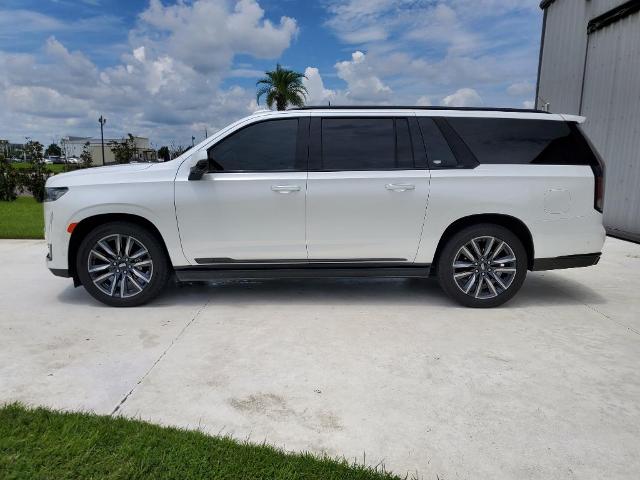 2022 Cadillac Escalade ESV Vehicle Photo in BROUSSARD, LA 70518-0000