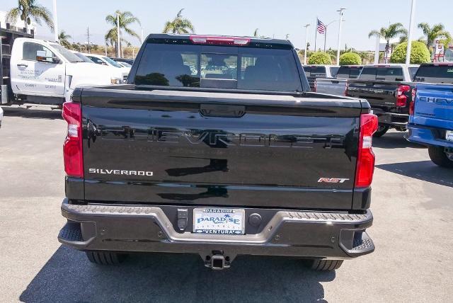 2024 Chevrolet Silverado 1500 Vehicle Photo in VENTURA, CA 93003-8585