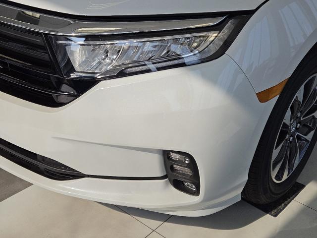 2024 Honda Odyssey Vehicle Photo in LAWTON, OK 73505