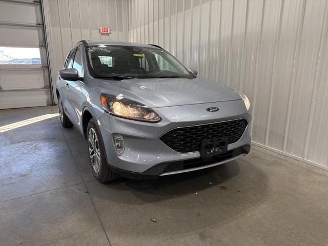 2022 Ford Escape Vehicle Photo in GLENWOOD, MN 56334-1123