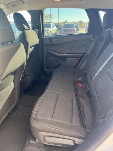 2024 Ford Escape Vehicle Photo in Winslow, AZ 86047-2439