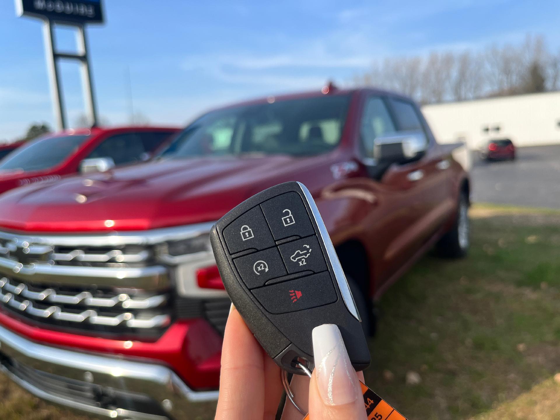 2025 Chevrolet Silverado 1500 Vehicle Photo in CLARE, MI 48617-9414