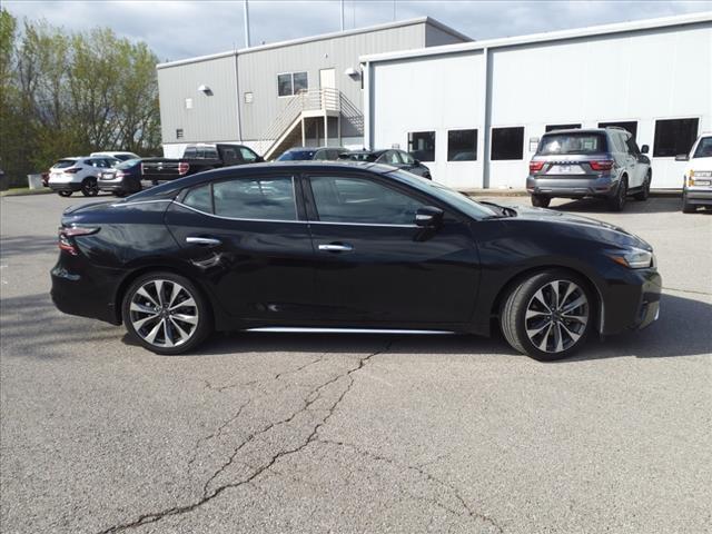 Certified 2023 Nissan Maxima Platinum with VIN 1N4AA6FV0PC510855 for sale in Clarksville, TN