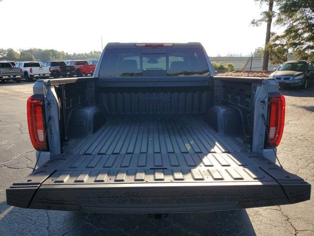 2025 GMC Sierra 1500 Vehicle Photo in SMYRNA, GA 30080-7630