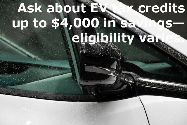 2020 Chevrolet Bolt EV Vehicle Photo in EVERETT, WA 98203-5662