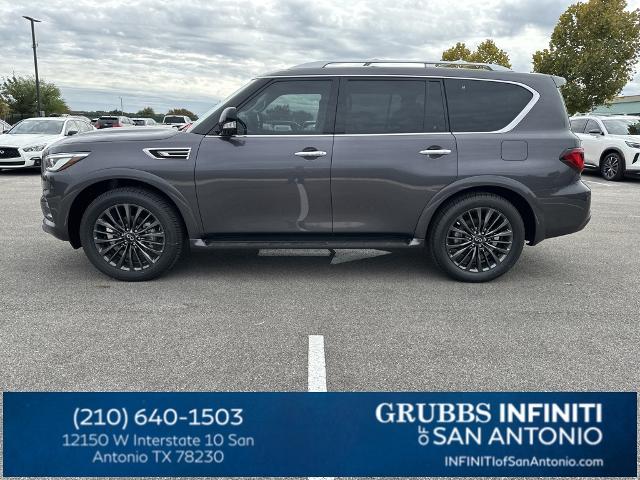 2024 INFINITI QX80 Vehicle Photo in San Antonio, TX 78230