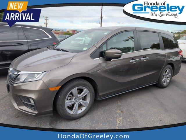 2020 Honda Odyssey Vehicle Photo in Greeley, CO 80634-8763