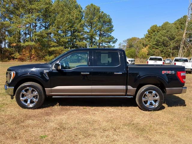 2021 Ford F-150 Vehicle Photo in ALBERTVILLE, AL 35950-0246