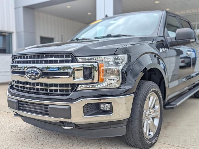 2020 Ford F-150 Vehicle Photo in POMEROY, OH 45769-1023