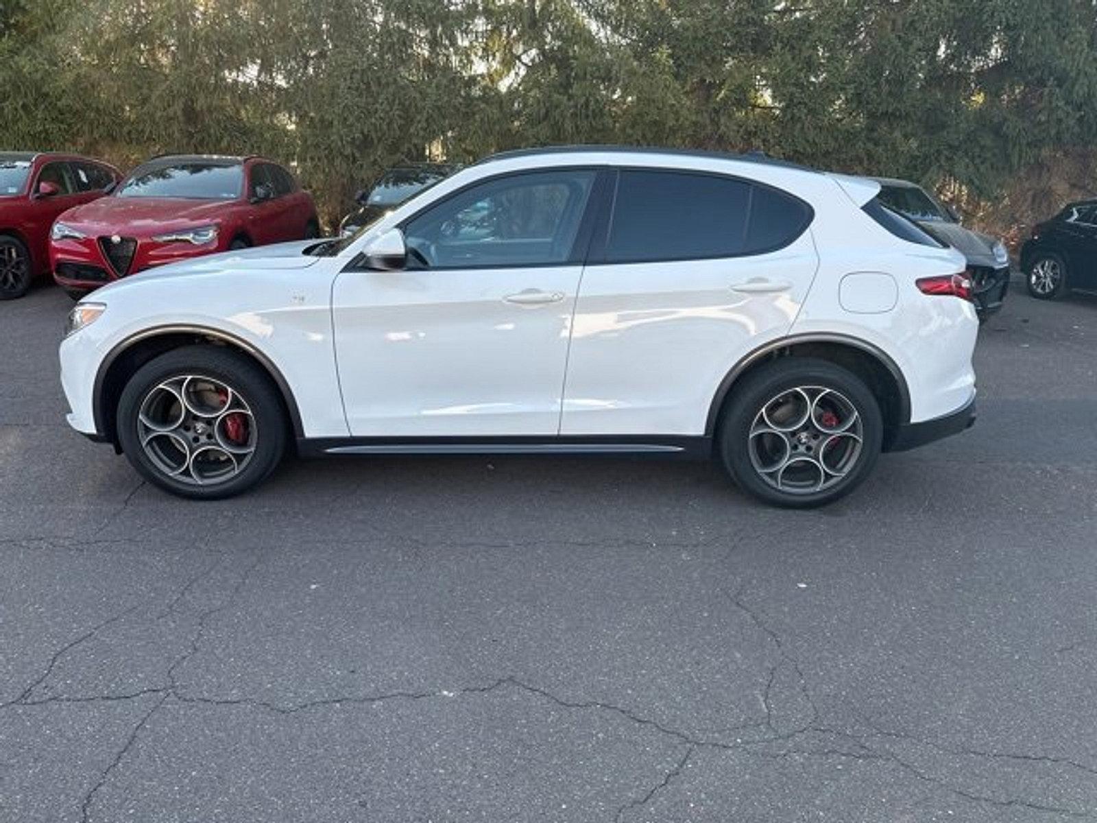 2023 Alfa Romeo Stelvio Vehicle Photo in Willow Grove, PA 19090