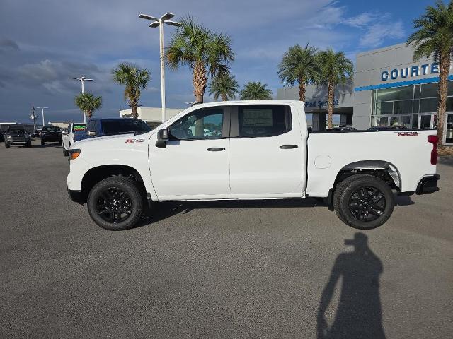 2025 Chevrolet Silverado 1500 Vehicle Photo in BROUSSARD, LA 70518-0000