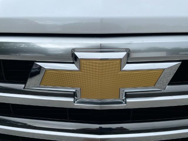 2024 Chevrolet Silverado 1500 Vehicle Photo in THOMPSONTOWN, PA 17094-9014