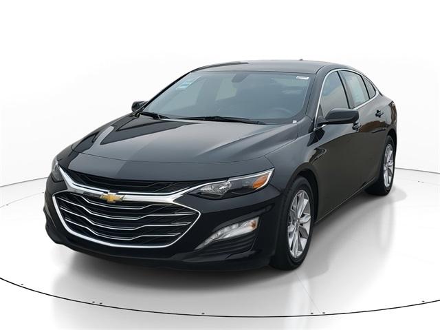 2019 Chevrolet Malibu Vehicle Photo in GRAND BLANC, MI 48439-8139