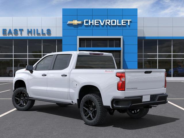 2024 Chevrolet Silverado 1500 Vehicle Photo in FREEPORT, NY 11520-3923