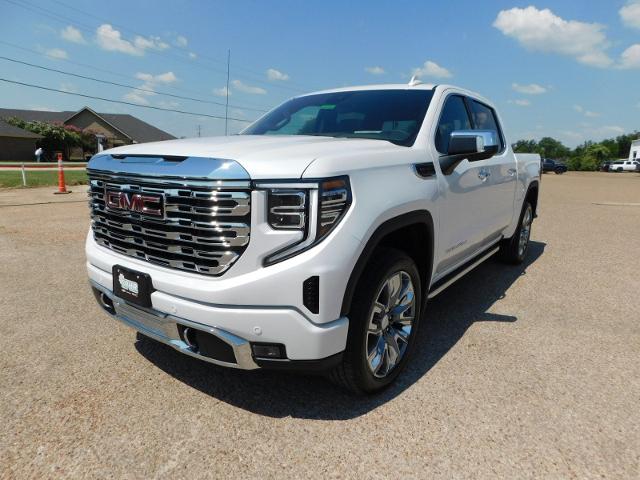 2024 GMC Sierra 1500 Vehicle Photo in Weatherford, TX 76087