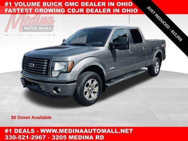 2011 Ford F-150 Vehicle Photo in MEDINA, OH 44256-9631