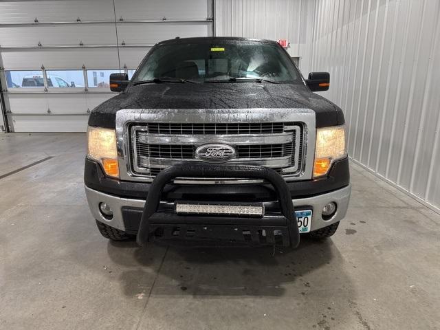 2014 Ford F-150 Vehicle Photo in GLENWOOD, MN 56334-1123