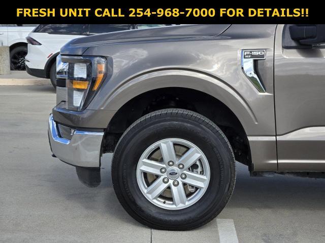 2023 Ford F-150 Vehicle Photo in STEPHENVILLE, TX 76401-3713