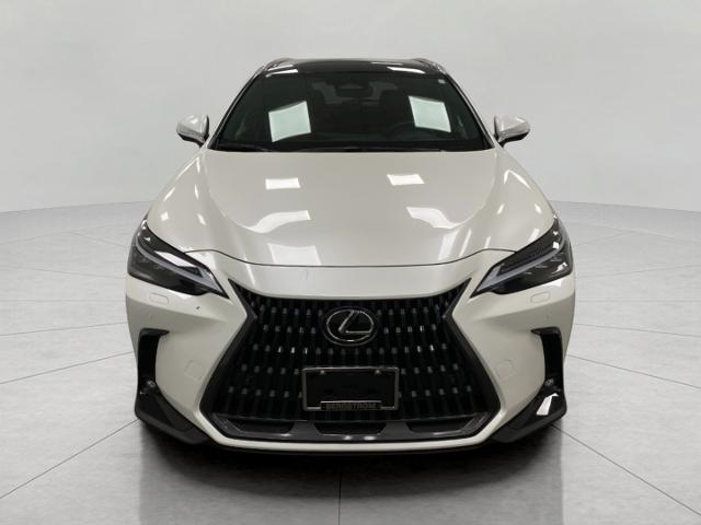 2024 Lexus NX 350h Vehicle Photo in Appleton, WI 54913