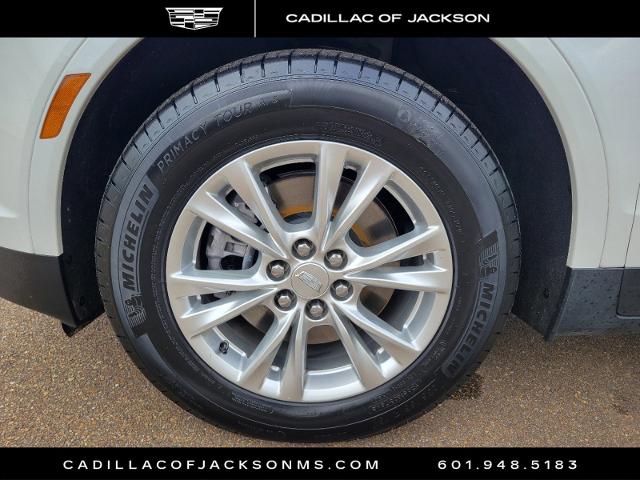 2021 Cadillac XT5 Vehicle Photo in RIDGELAND, MS 39157-4406