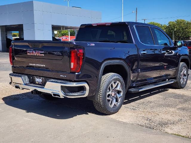 2024 GMC Sierra 1500 Vehicle Photo in PARIS, TX 75460-2116