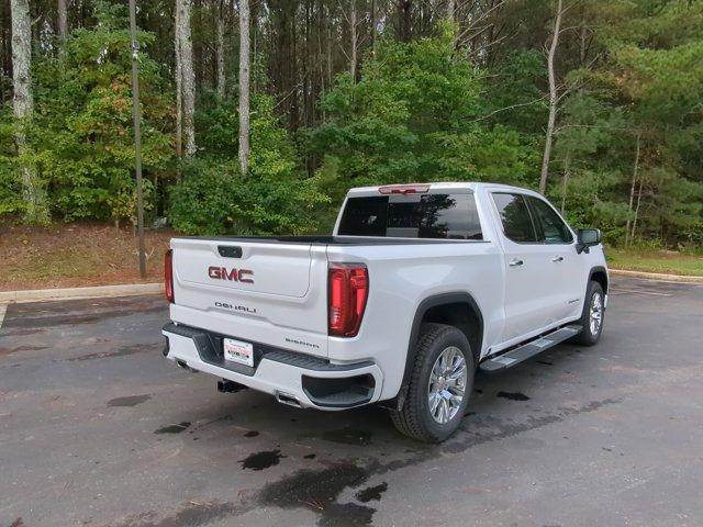 2025 GMC Sierra 1500 Vehicle Photo in ALBERTVILLE, AL 35950-0246