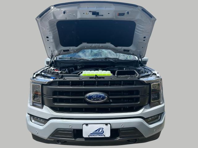 2023 Ford F-150 Vehicle Photo in Oshkosh, WI 54901