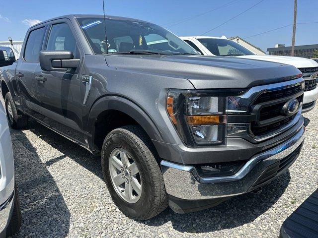 Used 2023 Ford F-150 XL with VIN 1FTFW1E56PKD18903 for sale in Gonzales, LA