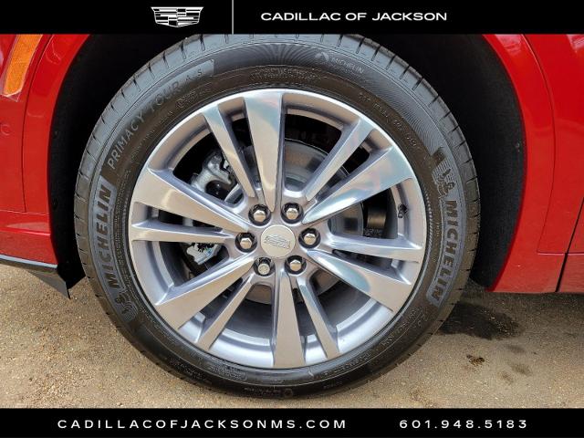 2025 Cadillac XT6 Vehicle Photo in RIDGELAND, MS 39157-4406