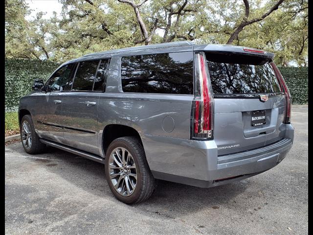 2020 Cadillac Escalade ESV Vehicle Photo in SAN ANTONIO, TX 78230-1001