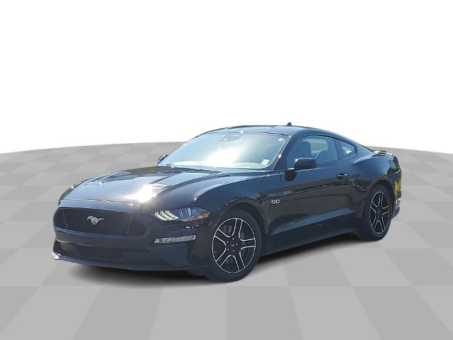 2022 Ford Mustang Vehicle Photo in CLEARWATER, FL 33763-2186