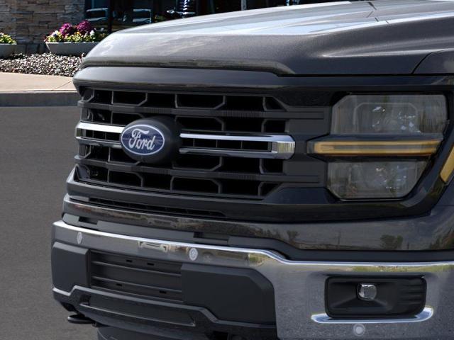 2024 Ford F-150 Vehicle Photo in Weatherford, TX 76087