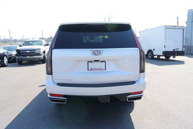 2021 Cadillac Escalade ESV Vehicle Photo in DETROIT, MI 48207-4102