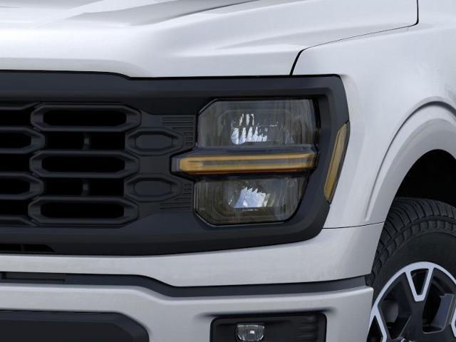 2024 Ford F-150 Vehicle Photo in Winslow, AZ 86047-2439