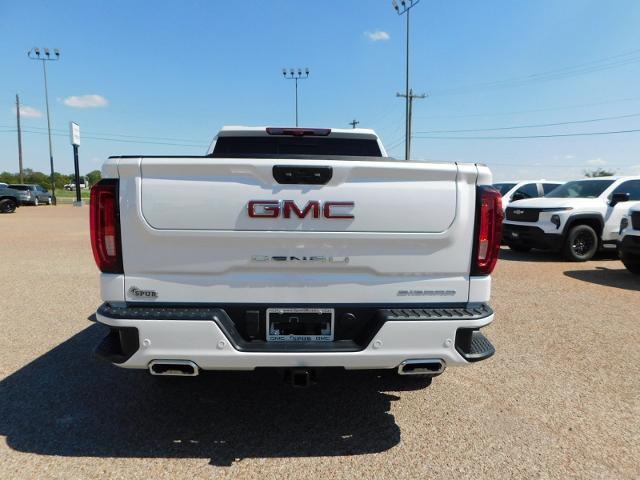 2025 GMC Sierra 1500 Vehicle Photo in Weatherford, TX 76087