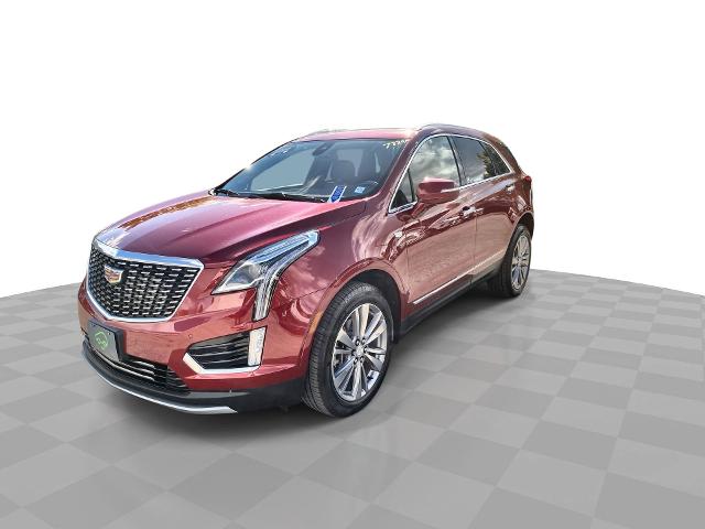 2024 Cadillac XT5 Vehicle Photo in WILLIAMSVILLE, NY 14221-2883