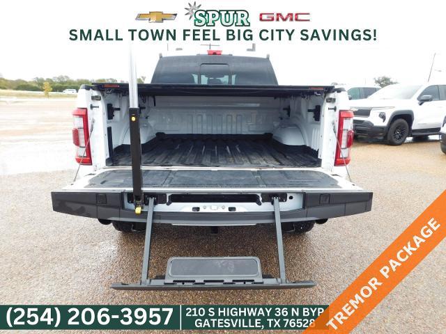 2023 Ford F-150 Vehicle Photo in GATESVILLE, TX 76528-2745