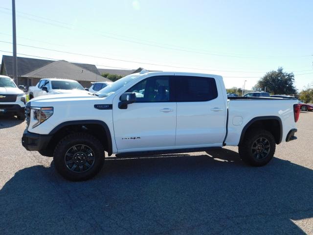 2025 GMC Sierra 1500 Vehicle Photo in GATESVILLE, TX 76528-2745