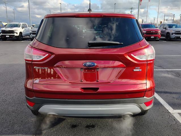 2016 Ford Escape Vehicle Photo in GREEN BAY, WI 54304-5303