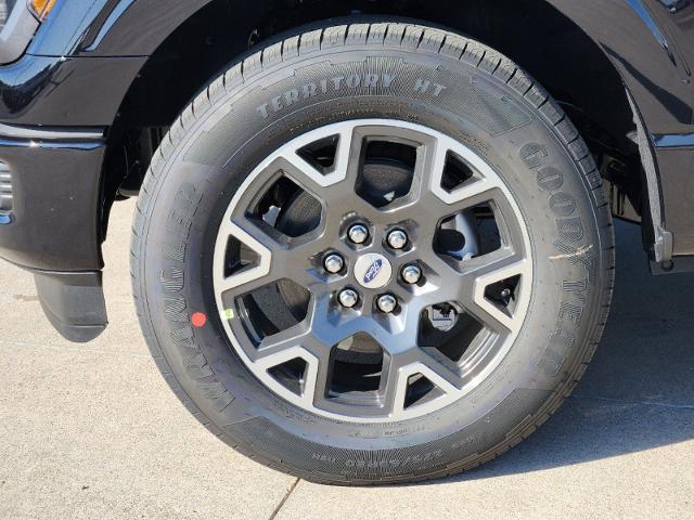 2024 Ford F-150 Vehicle Photo in Pilot Point, TX 76258