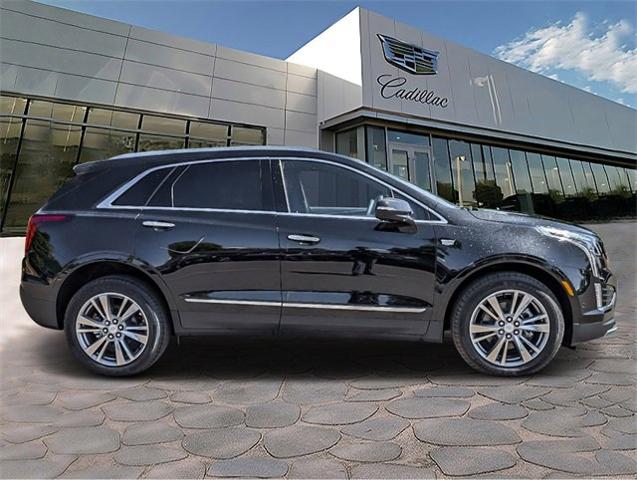 2024 Cadillac XT5 Vehicle Photo in LITTLETON, CO 80124-2754