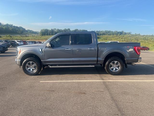 2023 Ford F-150 Vehicle Photo in Jackson, OH 45640-9766