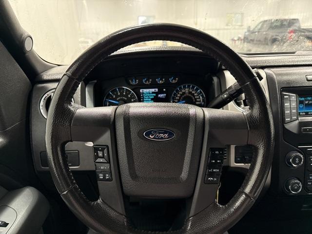 2014 Ford F-150 Vehicle Photo in GLENWOOD, MN 56334-1123