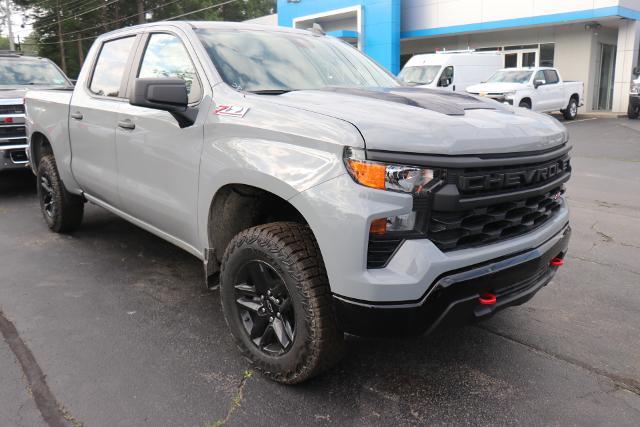 2024 Chevrolet Silverado 1500 Vehicle Photo in MONTICELLO, NY 12701-3853