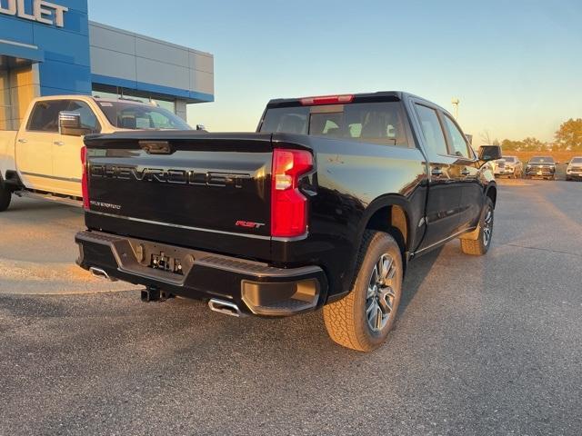 2025 Chevrolet Silverado 1500 Vehicle Photo in GLENWOOD, MN 56334-1123